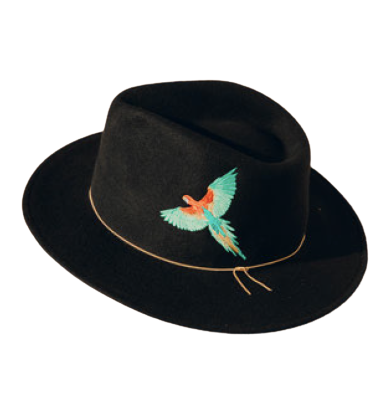 VAN PALMA Chapeau Dakota 1 VAN PALMA Chapeau Dakota